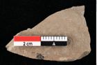 Foto (Detailansicht) von Glyptostrobus europaeus Brongniart (NHMW-GEO-2024-0188-0151)